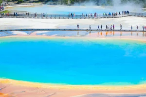 Landscape Beauty of Yellowstone