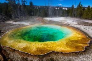 Yellowstone Park