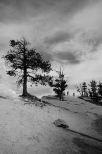 Formation and History of Bryce Canyon National Park