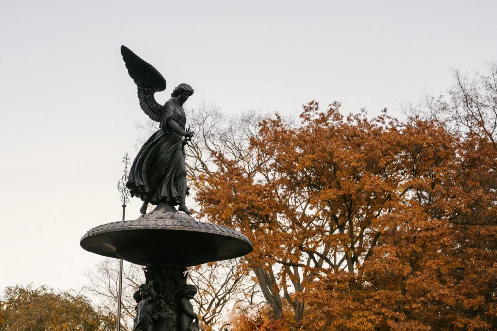 Central park NYC