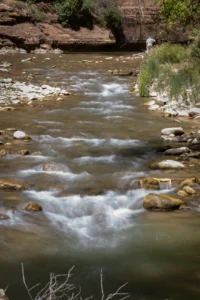 Diverse River Activities