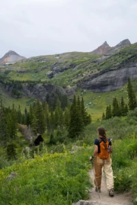 trail ridge road