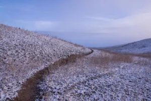 Multi-State Trails