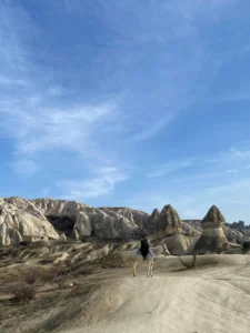Dunes of Wonderland