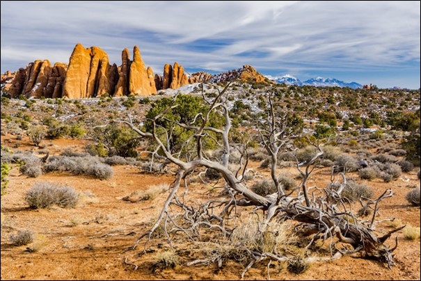 Joshua Tree National Park