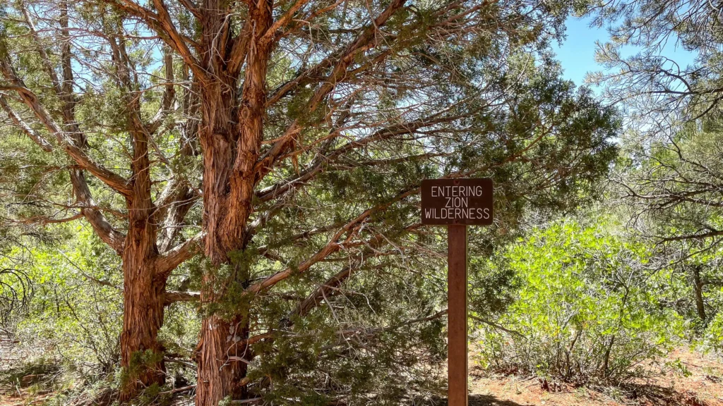 best hike zones zion