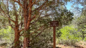 best hike zones zion