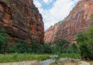 Zion national park