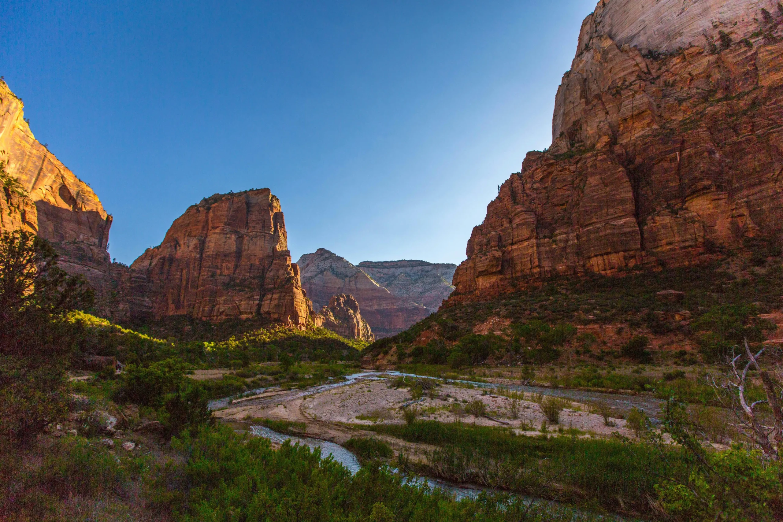 What to Choose Zion Narrows Bottom Up vs Top Down