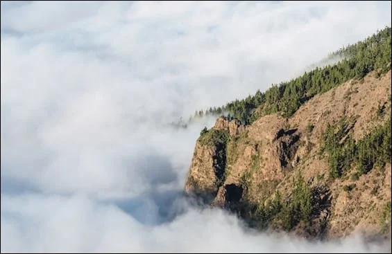 Beautiful mountain with green trees